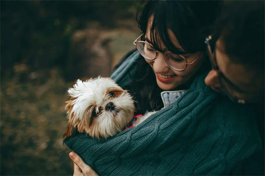 Como Passear Com Seu Cão no Verão: 10 Dicas Essenciais